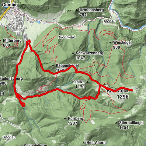 Carte