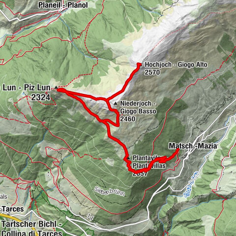 Carte