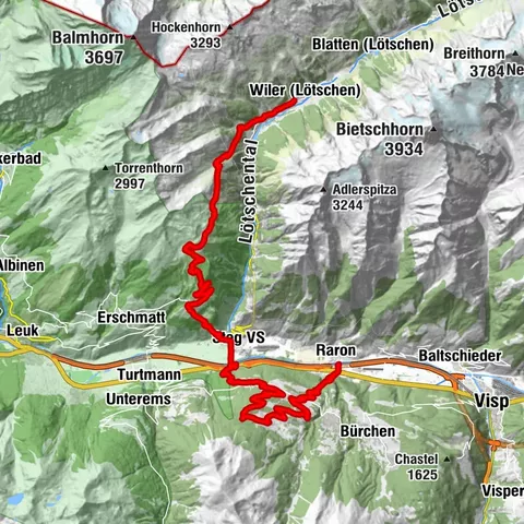 Carte