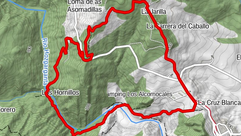 Alcornocales bei Jimena de la Frontera