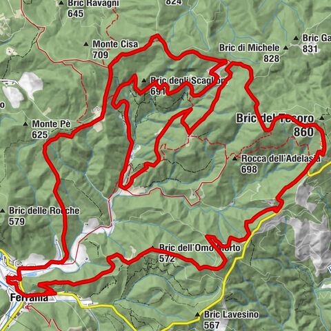 Cinghialtracks (Ferrania)