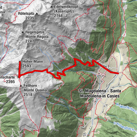 Carte