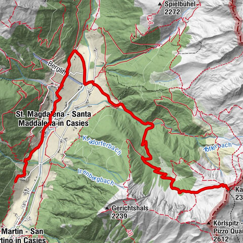 Carte
