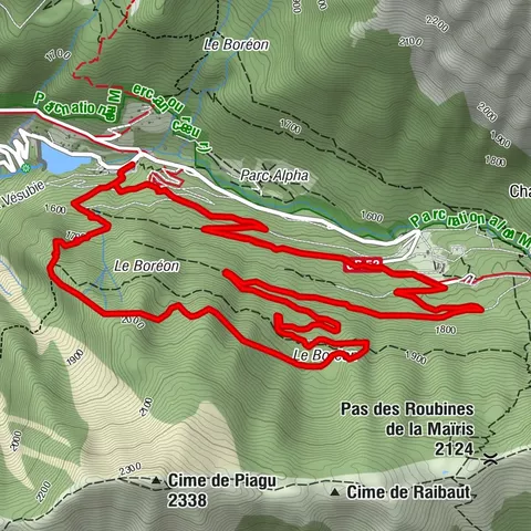 Carte