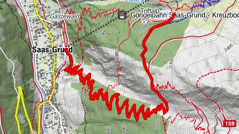 Singletrail Furwald
