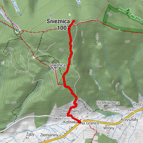 Śnieżnicy z Przełęczy Gruszowiec