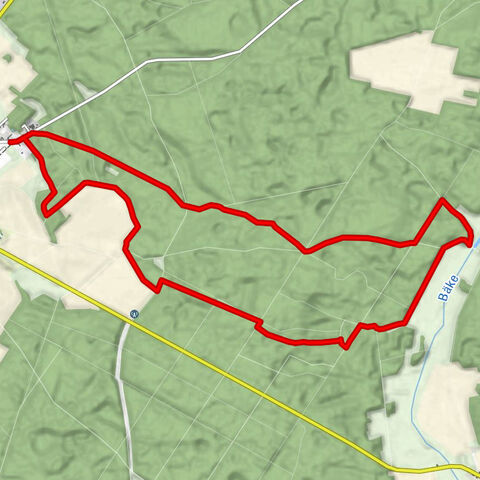 Wildschwein-Tour Klötze