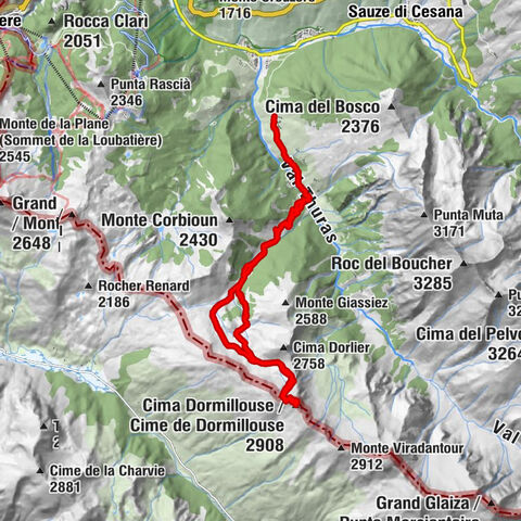 Carte