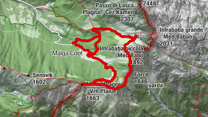 Carte