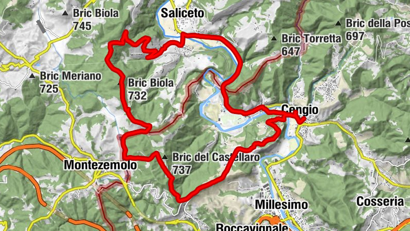 Carte