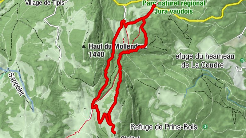 Carte