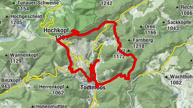 Carte