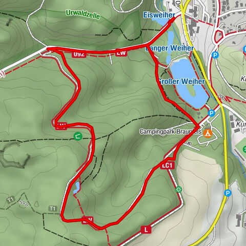 Braunfels - Parcours découverte du hibou (parcours découverte de la forêt)