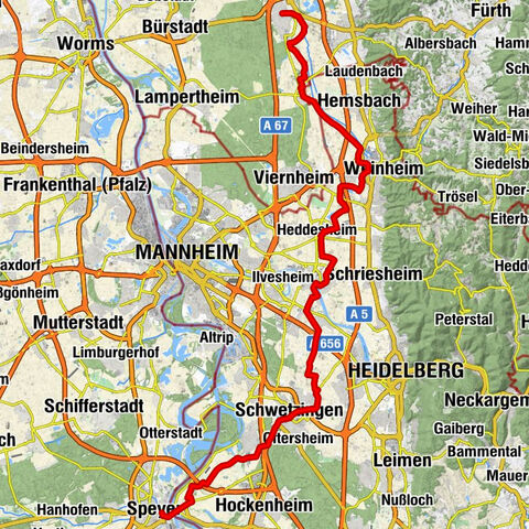 Piste cyclable du patrimoine mondial (Speyer - Lorsch)