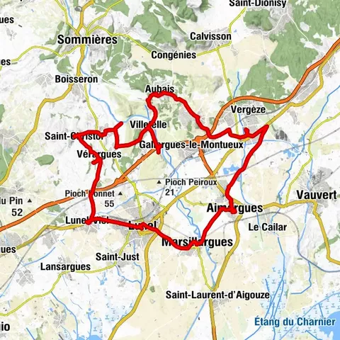 ROUTE DES VINS - TERRE DE MUSCAT ET DE BOUVINE