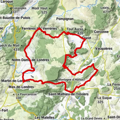 ROUTE DES VINS - VIGNES EN PAYSAGES