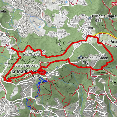 Carte