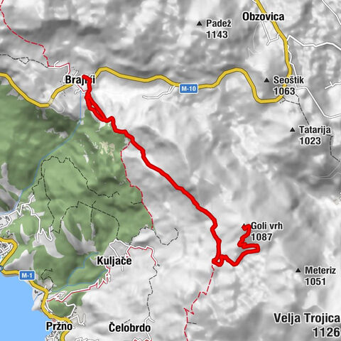 Brajići - Kosmač - Goli vrh