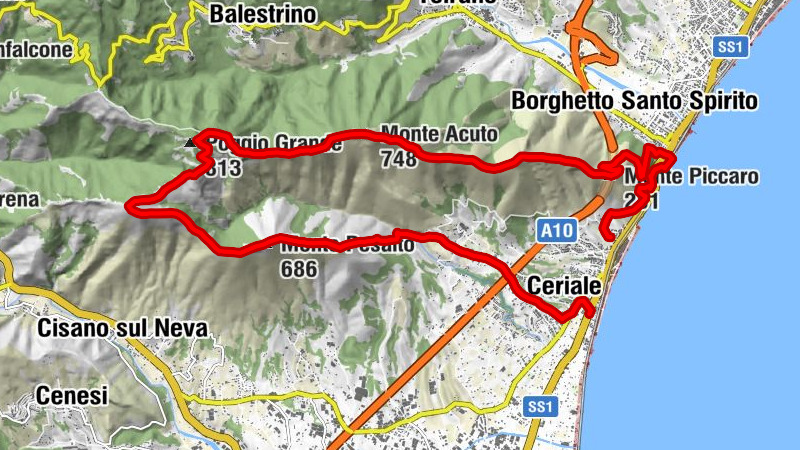 Carte