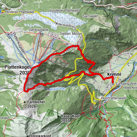 Carte
