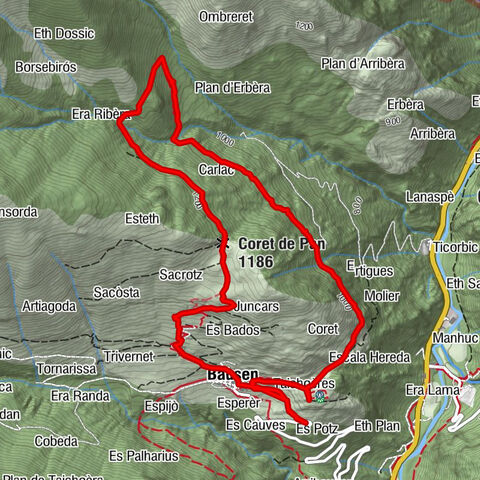 Carlac-Wald (Bausen)