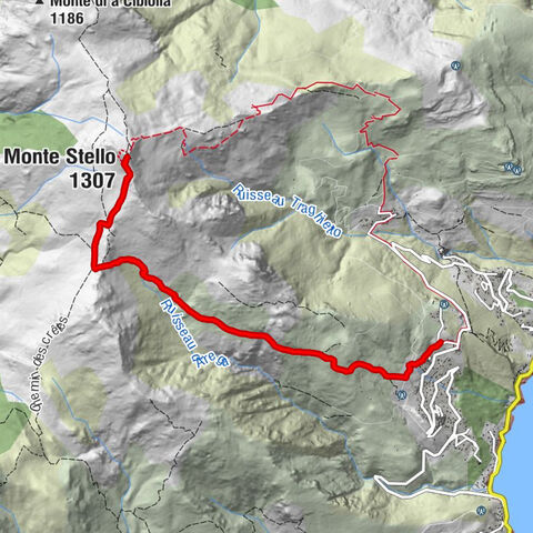 Pozzo - Monte Stello