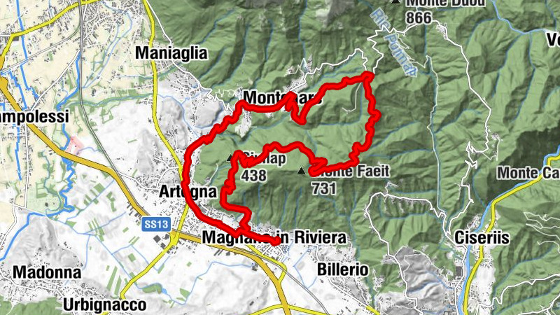 Carte
