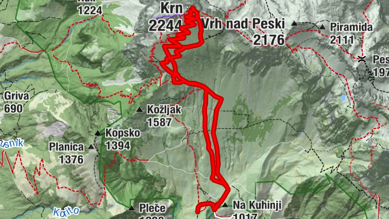 Carte