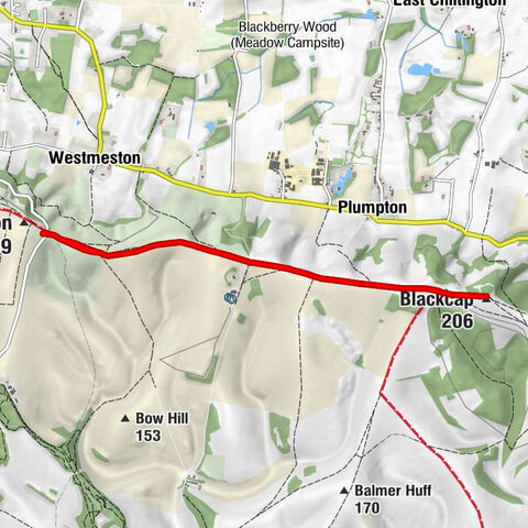 East Chiltington - Blackcap