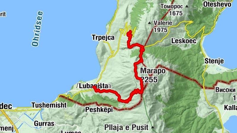 Carte