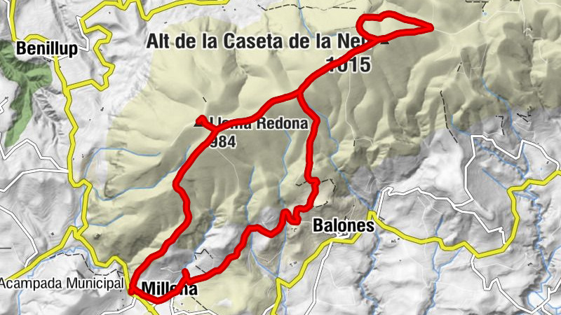 Carte