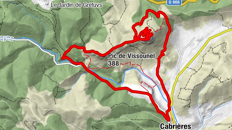 Carte