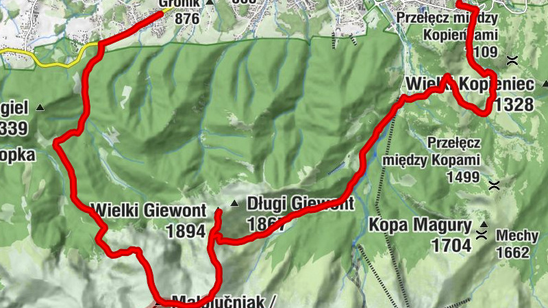 Carte