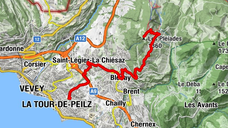 Carte