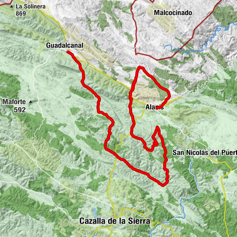 Alanís