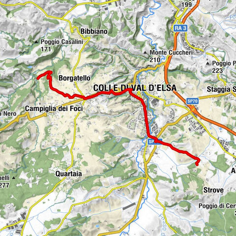 Colle di Val d'Elsa - Cattedrale dei Santi Marziale e Alberto - Cripta della Misericordia - Scarna