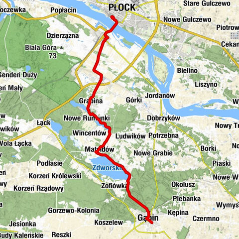 Katedra pw. Wniebowzięcia Najświętszej Maryi Panny - Płock - Kościół parafialny pw. św. Benedykta - Gąbin