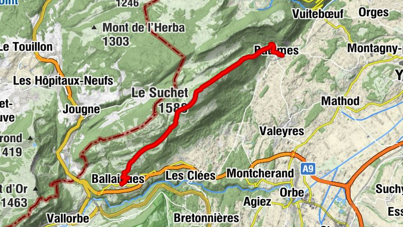 Carte