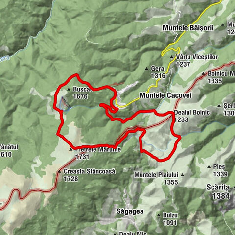 Valea Ierii - Dealul Boinic - Pietrele Mărunte - Băișoara