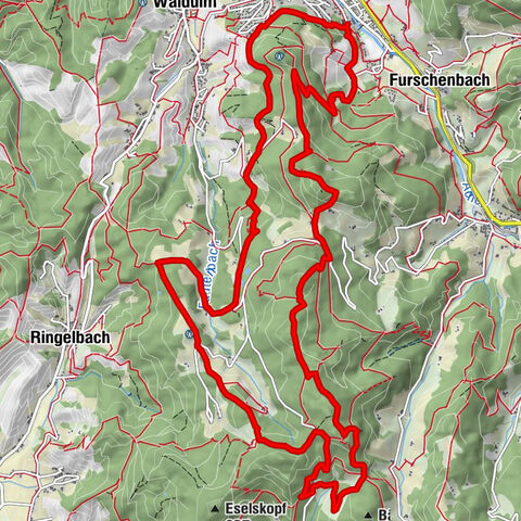 Kappelrodecker Hexensteig (Offizielle Tour)
