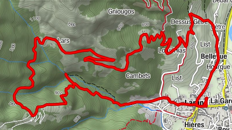 Carte
