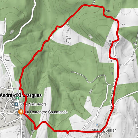 La Fourchette Gourmande - Saint-André-d'Olérargues - Mas de Sellier