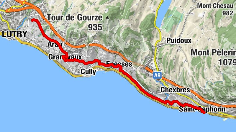 Carte