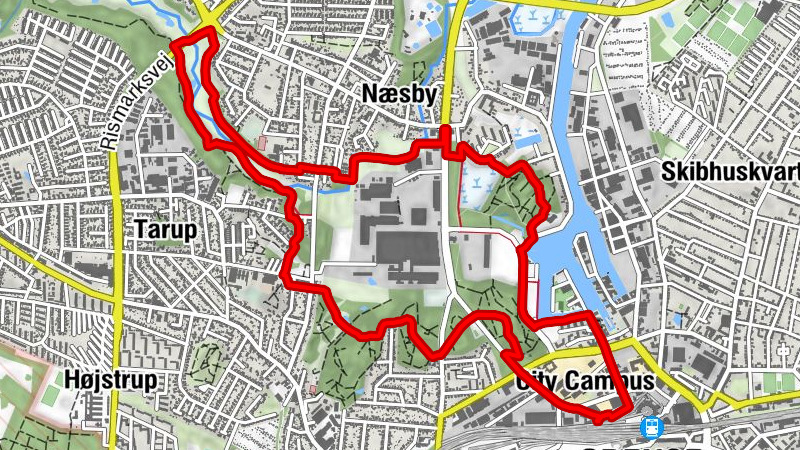 Carte