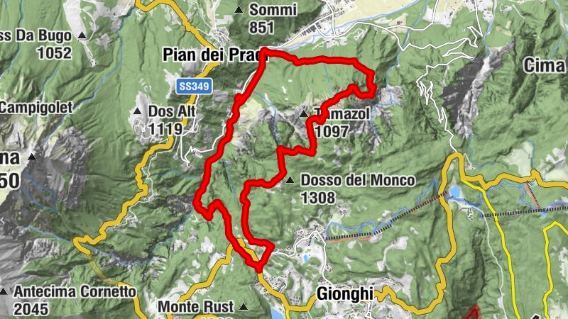 Carte