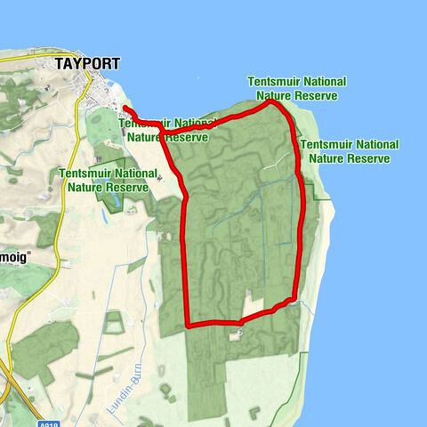 Tayport