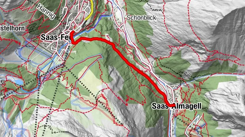 E-bike parcours chemin forestier
