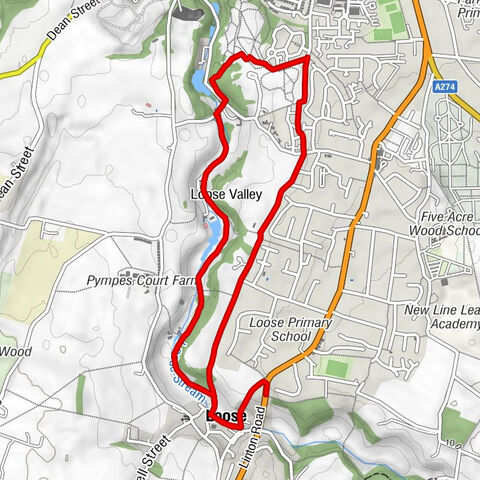 Loose - All Saints - Maidstone