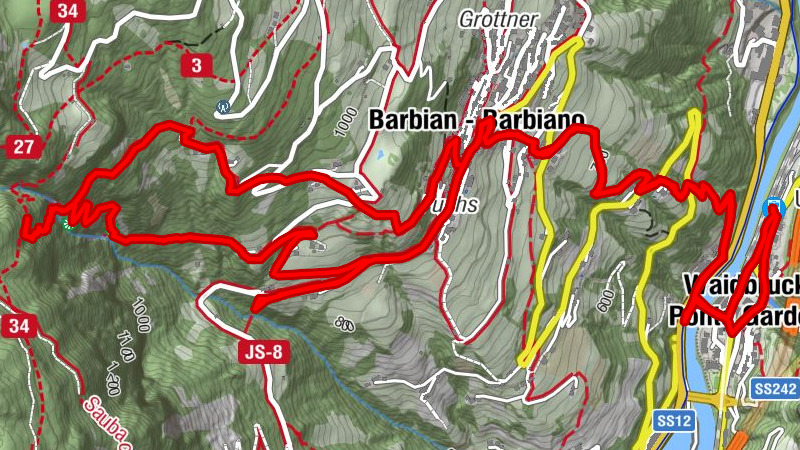Carte