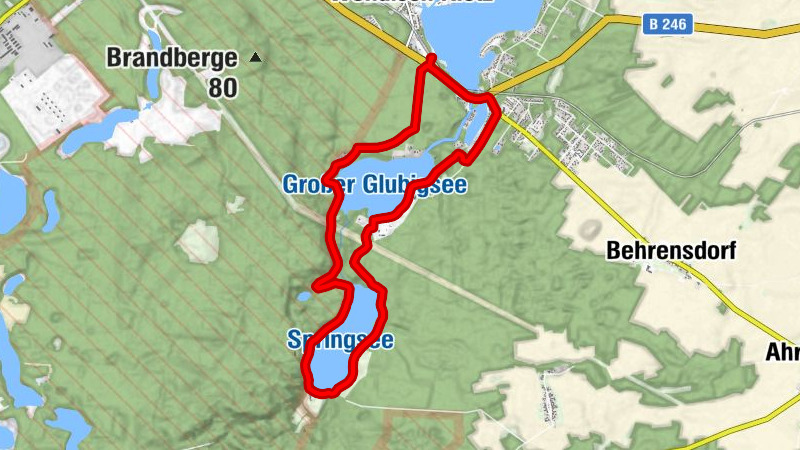 Carte